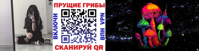 Галлюциногенные грибы мицелий  Купить закладки  Наволоки 